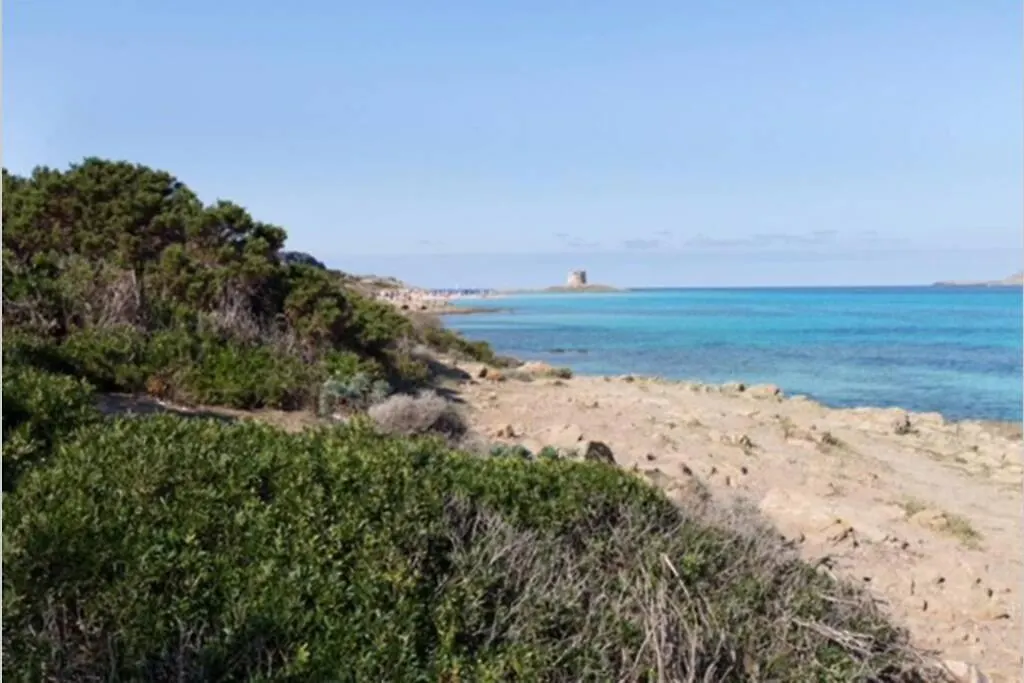 Stintino Villa Turchese Sardinia
